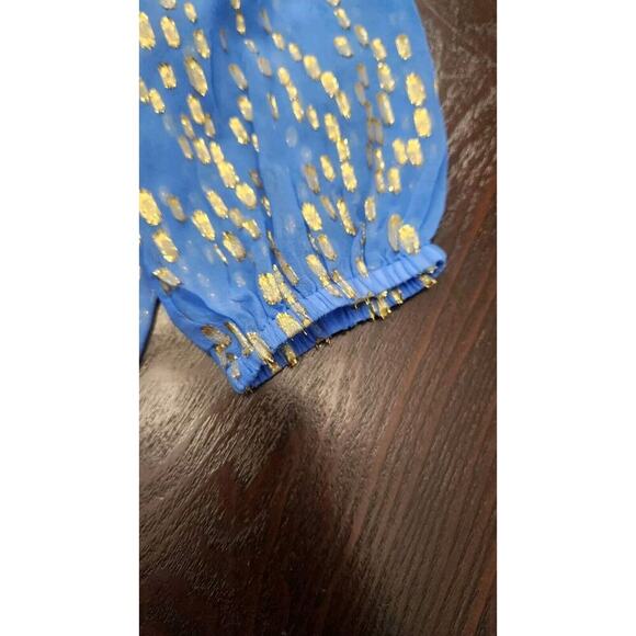 Lilly Pulitzer Womens Tunic Colby Silk Clip Metallic Gold sheer Blouse Blue XXS - Picture 8 of 8